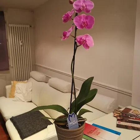 Casa Dolce Casa شقة مودينا