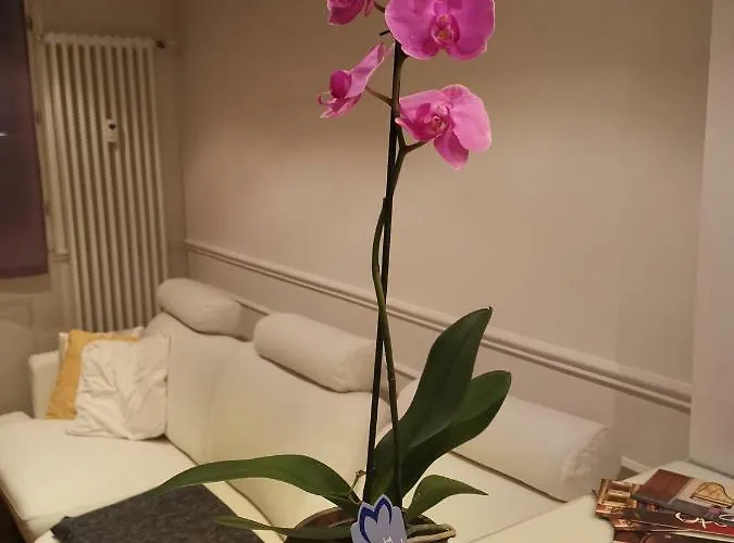 Casa Dolce Casa Lejlighed Modena